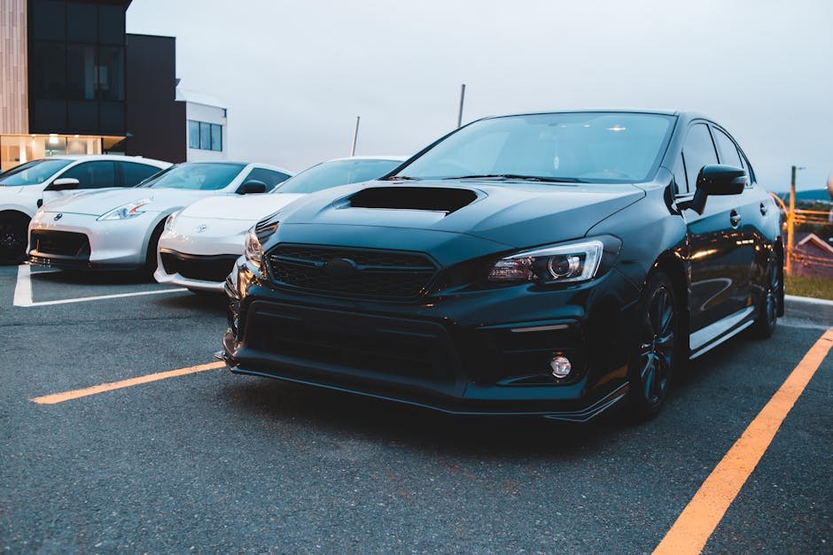 Powerful black automobile with massive hood standing near modern racing white cars on asphalt parking lots